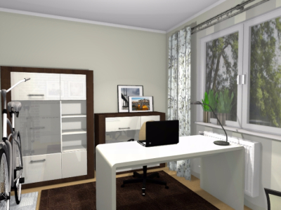 projekt eleganckiego gabinetu