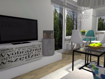 salon z bio-kominkiem